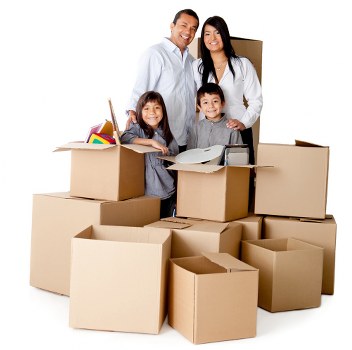 Small business delivery and transport service in Loxford